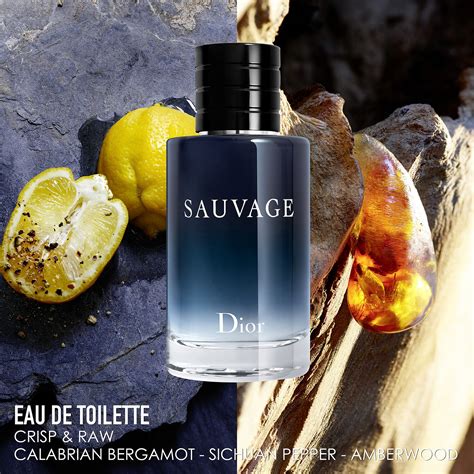 sauvage dior eau de toilet beslist.nl